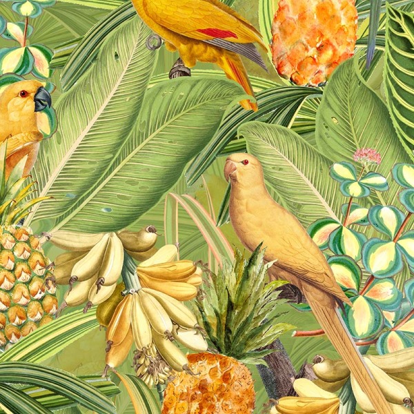 Colorfulbirdsinjunglewithbananas tilphainealston square